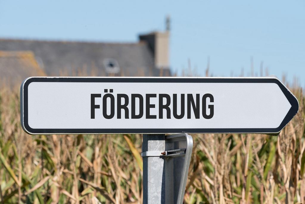 Förderung s